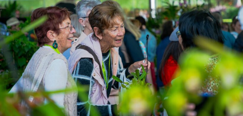 Queensland Garden Show - Newsreel