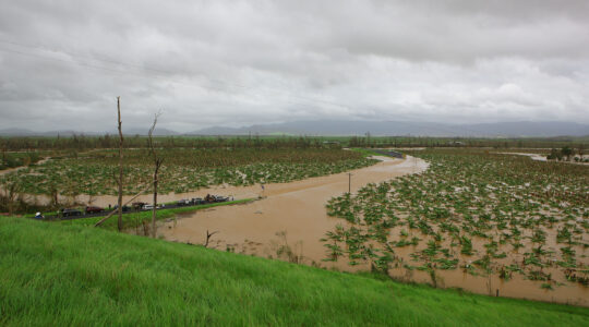 Queenslanders Survey Cyclone Yasi Damage
