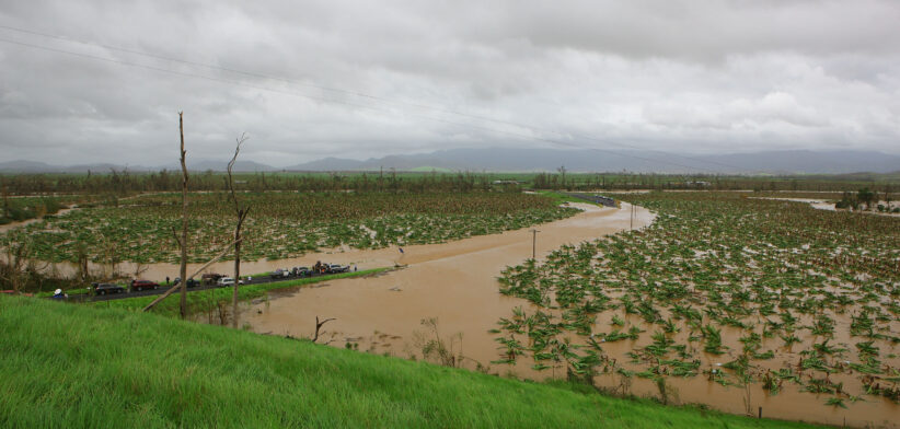 Queenslanders Survey Cyclone Yasi Damage
