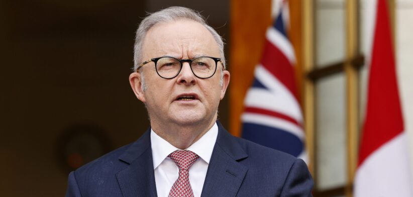 Anthony Albanese - Newsreel