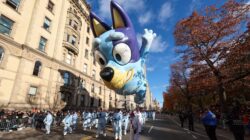 Bluey's World - Newsreel