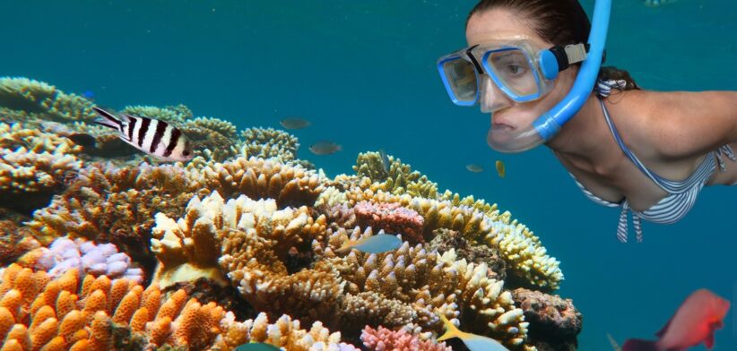 Great Barrier Reef - Newsreel