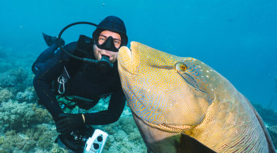 Great Barrier Reef stays off the global in-danger list