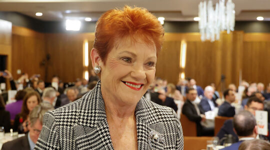 Pauline Hanson, Leader of One Nation