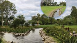Kedron Brook