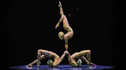 Kooza Cirque du Soleil