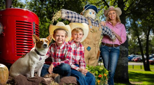 Laidley Spring Festival - Newsreel