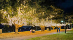 Mowbray Park