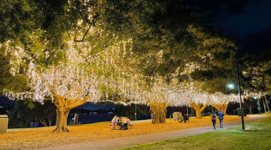 Tenders to be called for Mowbray Park upgrade