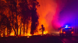 Green Wattle creek fire emergency