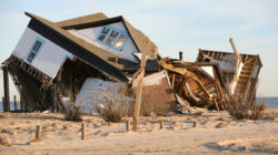 hurricane damage