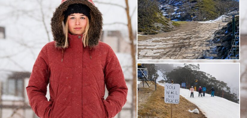 snowfields