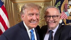 Albo and Trump