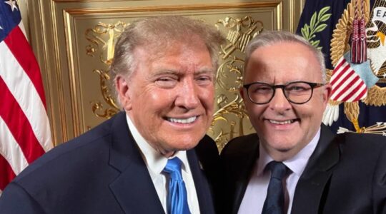 Albo and Trump