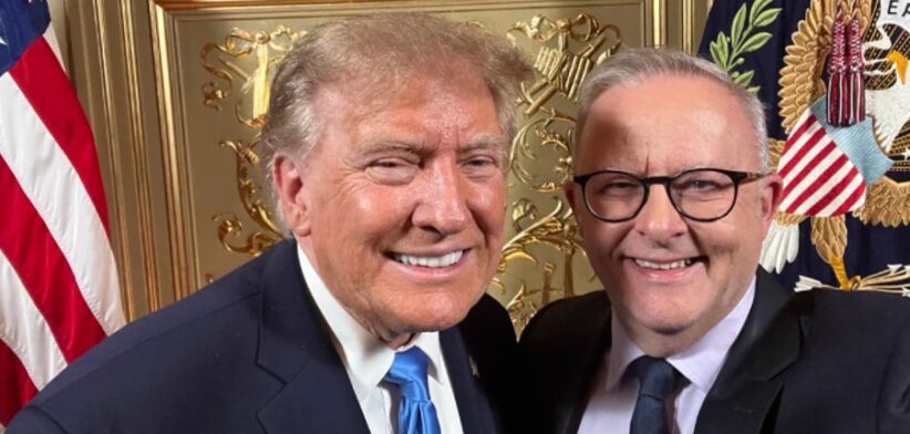 Albo and Trump