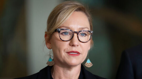 Greens leader steps down to deal with health issues