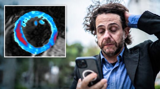 Daily chronic stress a time bomb for heart health