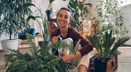 Do plants grow better when you play them music?