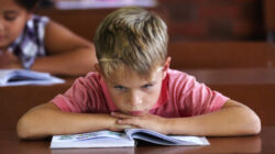 School sucks