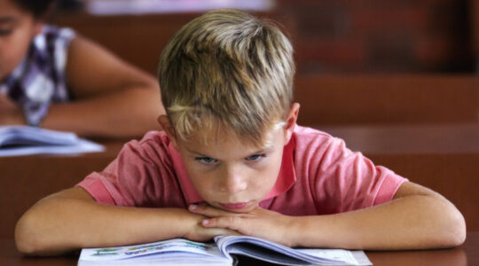 School sucks