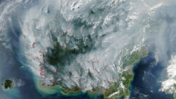 indonesia fires