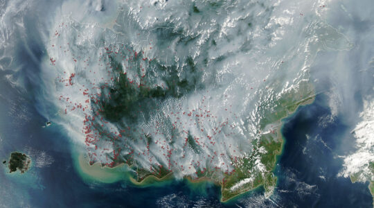indonesia fires