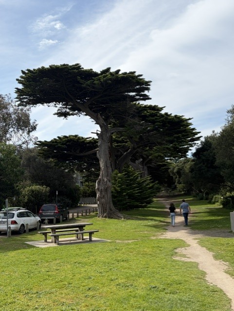 Apostles Lorne