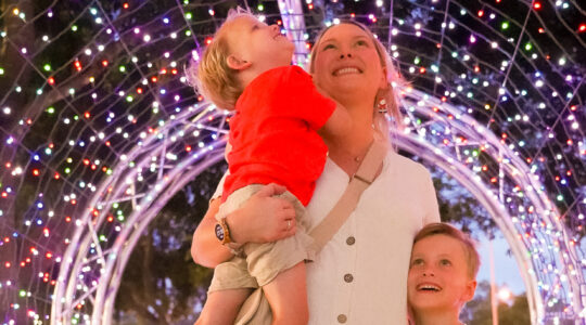 Ticket sales open for Christmas enchanted garden