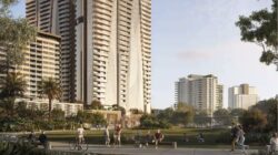 Hamilton Grove