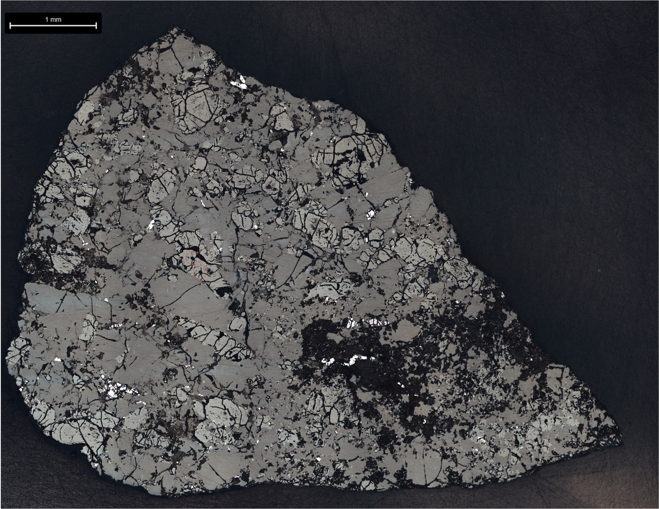 Mars Meteorite