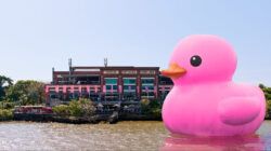Rubber Duck Melt 2026