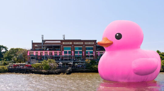 Rubber Duck Melt 2026