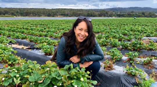 Stanthorpe – Wine, big rocks and a Johnny Cash secret