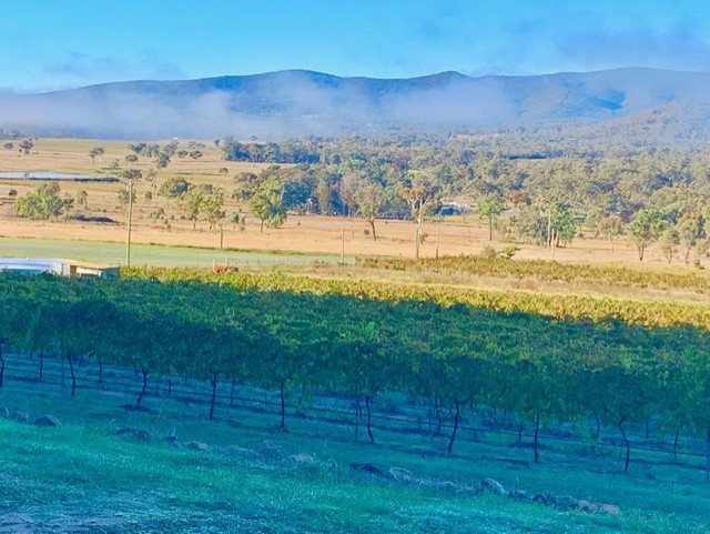 Stanthorpe Vinyards