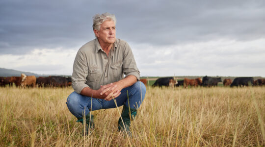 Southern Queensland parched coming into summer