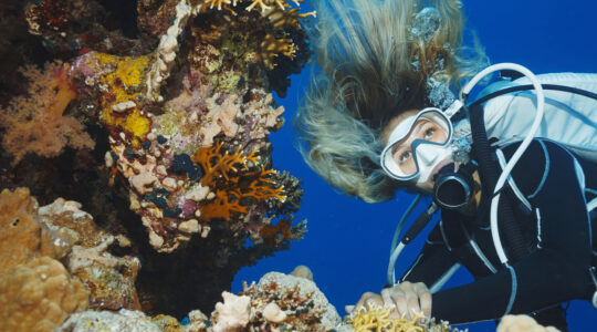 Underwater Scuba diver