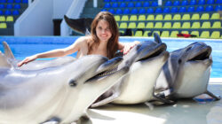 woman with dolphins in the Dolphinarium
