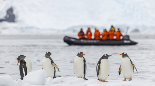 Antarctic change puts global climate into the unknown